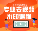 专业去视频水印教程 静态水印、动态水印、文字水印、图片水印一套教程通通搞定-资源云