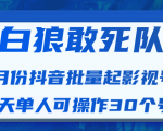 白狼敢死队最新抖音短视频批量起影视号(一天单人可操作30个号)视频课程-资源云