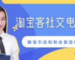 某站内部课程:淘宝客社交电商裂变,精准引流和粉丝裂变模式详解(共6节视频)-资源云