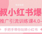 狼叔小红书爆款推广引流训练课4.0,手把手带你玩转小红书-资源云
