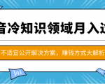 抖音冷知识领域月入过万项目,不适宜公开解决方案 ,抖音赚钱方式大解析!-资源云