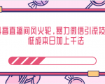 抖音直播间风火轮,暴力微信引流技术,低成本日加上千法-资源云