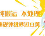 抖音纯搬运 不处理 小技巧,30秒发一个作品,避免违规评级秒过豆荚-资源云