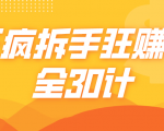 三疯拆手狂赚计,全30计课程-资源云