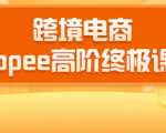 2020跨境电商蓝海新机会-SHOPEE大卖特训营:高阶终极课程(16节课)-资源云