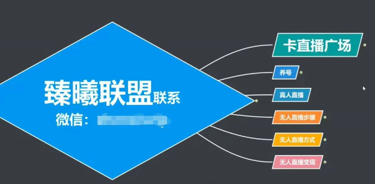 臻曦联盟，最新无人直播万人在线技术理原及详细操作步骤解析（视频教程）-资源云