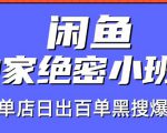 火焱社闲鱼独家绝密小班课-闲鱼单店日出百单黑搜爆破法-资源云