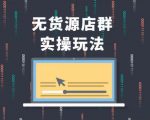 无货源店群实操玩法,蓝海选品的独特思路,店群软件操作方法(45节视频课)-资源云