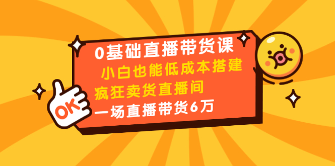 0基础直播带货课：小白也能低成本搭建疯狂卖货直播间：1场直播带货6万-资源云
