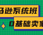 亚马逊系统班,专为0基础卖家量身打造,亚马逊运营流程与架构-资源云