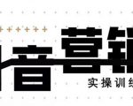 《12天线上抖音营销实操训练营》通过框架布局实现自动化引流变现-资源云