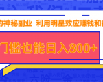 抖音上神秘副业项目,利用明星效应赚钱和截流,无门槛也能日入800+-资源云