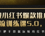 小红书爆款推广引流训练课5.0,手把手带你玩转小红书(17节实操视频+话术)-资源云