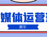 鹏哥自媒体运营班、宝妈兼职,也能月入2W,重磅推荐!【价值899元】-资源云