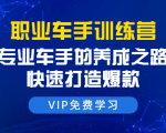 职业车手训练营:专业车手的养成之路,快速打造爆款(8节-无水印直播课)-资源云