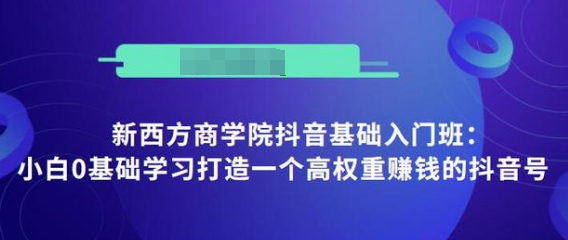 抖音基础入门班：小白0基础学习打造一个高权重赚钱的抖音号-资源云