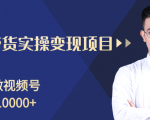 柚子分享课:微信视频号变现攻略,新手零基础轻松日赚千元-资源云
