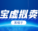 黑帽子淘宝虚拟卖货项目,单店每月收入5000+-资源云
