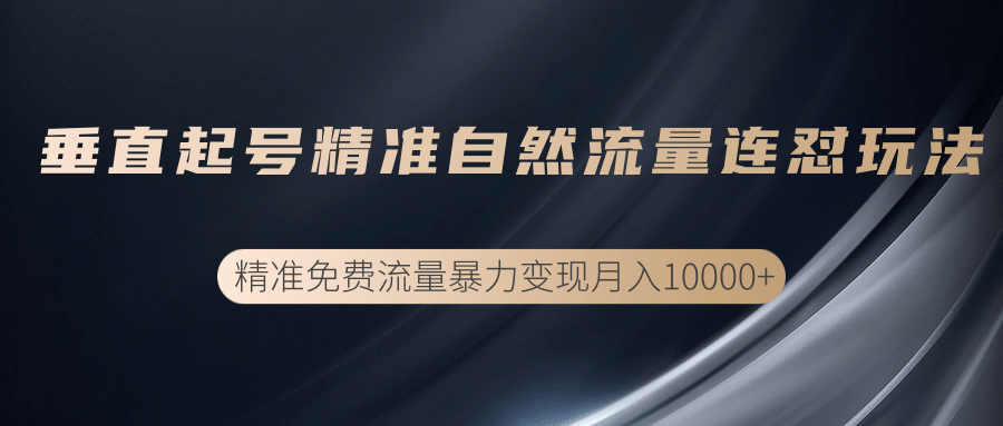 垂直起号精准自然流量连爆玩法，精准引流暴力变现月入10000+-资源云
