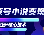 柚子微信视频号小说变现项目,全新玩法零基础也能月入10000+【核心技术】-资源云