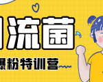 引流菌2020全网爆粉特训营(QQ群霸屏,知乎引流,群裂变,自动化引流等)-资源云