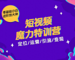 零基础小白进阶到大神《短视频魔力特训营》定位-运营-引流-变现-资源云
