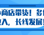 微信小商店带货,爆单多倍收入,长期复利循环!日赚300-800元不等-资源云