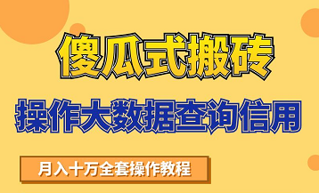 搬砖操作大数据查询信用项目赚钱教程，祝你快速月入6万-资源云