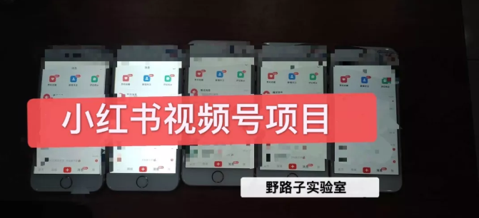 野路子小红书视频号1.0项目，直接上手操作就能赚钱的视频号项目-资源云