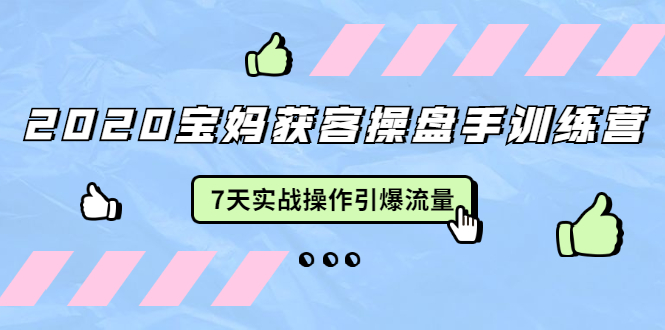 2020宝妈获客操盘手训练营：7天实战操作引爆 母婴、都市、购物宝妈流量-资源云