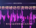 黄岛主·FM音频引流特训营2.0：独家引流模式，单账号50W+播放量，轻松变现-资源云