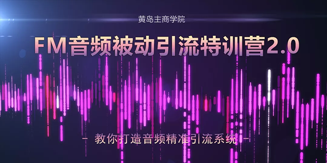黄岛主·FM音频引流特训营2.0：独家引流模式，单账号50W+播放量，轻松变现-资源云