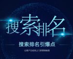 搜索排名引爆点:教你快速掌握各个搜索引擎排名算法,让客户主动找上你的秘笈-资源云