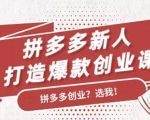拼多多新人打造爆款创业课：快速引流持续出单，适用于所有新人-资源云