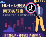 tiktok变现四天实战班，连怼技术+矩阵玩法赚美金！价值998元-资源云