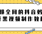 火爆全网的抖音“蚂蚁牙黑”视频制作教程,附软件【视频教程】-资源云