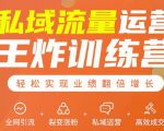 私域流量运营王炸训练营:全网引流+裂变涨粉+私域运营+高效成交-资源云