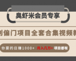 暴利偏门项目全套合集视频教程：你要的日赚1000+月入几万+项目都有-资源云