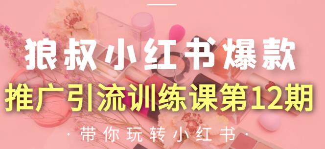 狼叔小红书爆款推广引流训练课第12期，手把手带你玩转小红书-资源云