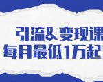 引流&变现课:分享一整套流量方法以及各个渠道收入,每月最低1万起!-资源云