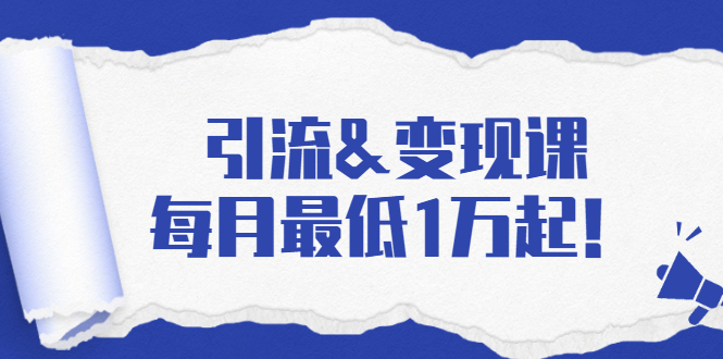 引流&变现课：分享一整套流量方法以及各个渠道收入，每月最低1万起！-资源云