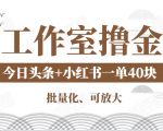 工作室撸金二件套:撸今日头条原创收益+小红书一单利润40块项目-资源云