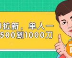 Paypal拉新赚美刀项目,单人一天利润500-1000刀【视频课程】-资源云