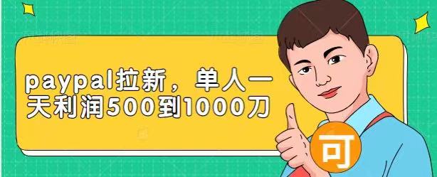 Paypal拉新赚美刀项目，单人一天利润500-1000刀【视频课程】-资源云