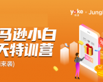 雨课·亚马逊小白特训营第9期 跨境电商挺赚钱的 有朋友已经月入几十万美金-资源云