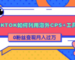详细解析TIKTOK如何利用海外CPS+工具0粉丝轻松变现月入过万-资源云