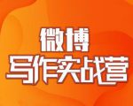 村西边老王·微博超级写作实战营,帮助你粉丝猛涨价值999元-资源云
