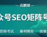 高鹏圈公众号SEO矩阵号群,实操20天纯收益25000+,普通人都能做-资源云