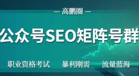 高鹏圈公众号SEO矩阵号群，实操20天纯收益25000+，普通人都能做-资源云