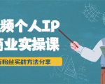 短视频个人IP商业实操课,百万粉丝实战方法分享,小白也能实现流量变现-资源云